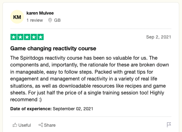 04-spiritdog-training-review..png